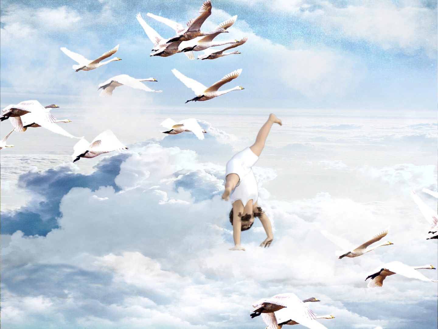 volar - Elige Felicidad